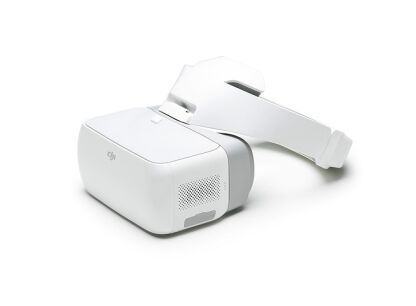 DJI Goggles